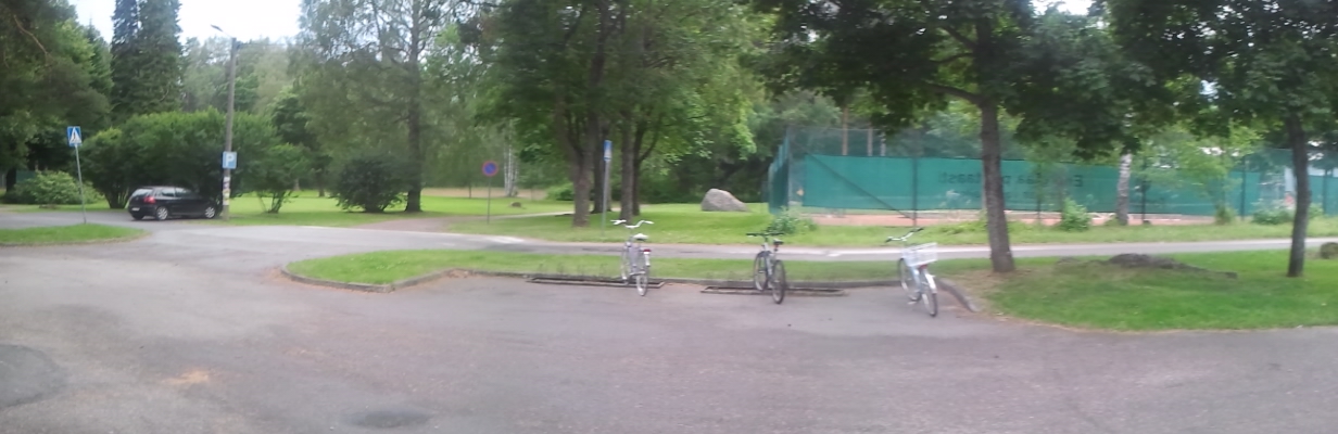 ParklikParkering.