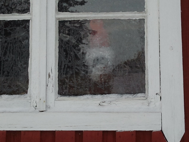 En tomte vaktar över gården.