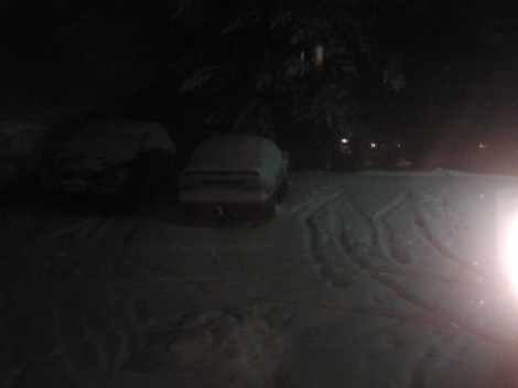 I onsdags vräkte snön ner över oss.