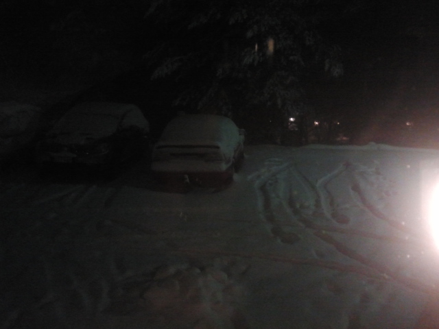 I onsdags vräkte snön ner över oss.