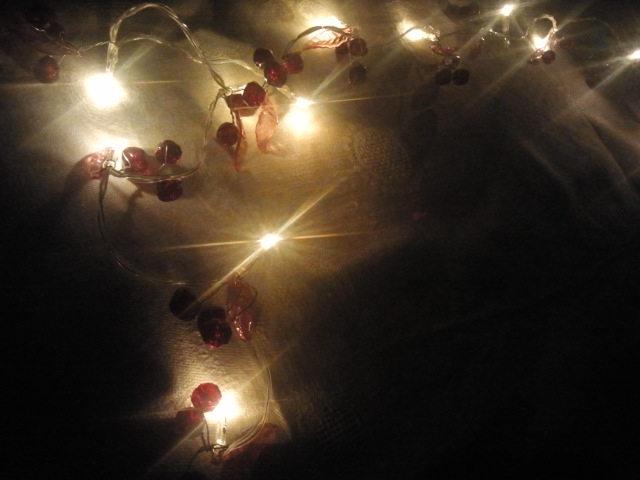 De små lamporna ger ett mysigt sken.