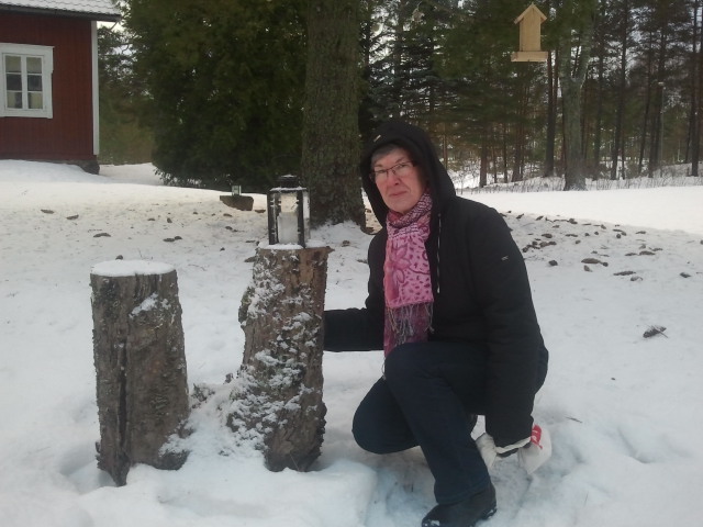 Lyktan hade frusit fast på stubben.