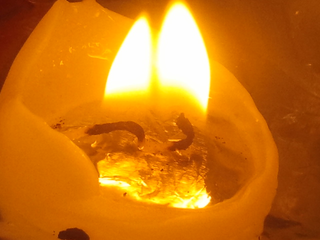 Plötsligt brann två lågor intill varandra då ljuset nästan hade brunnit ut.