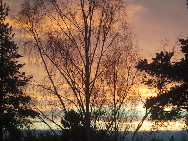 Morgonrodnad mot öst, från köksfönstret sett.