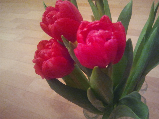 En föraning av våren.