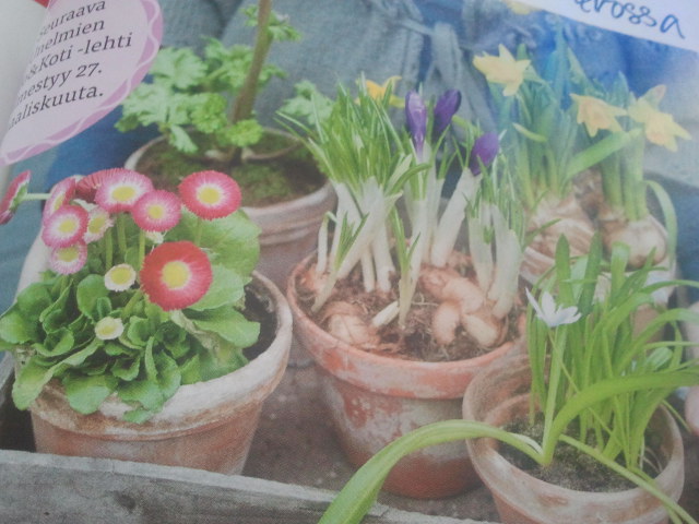 Efter vår kommer sommar.