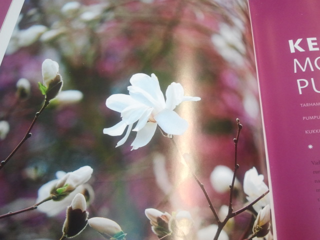 Boken "Puutarhassa kotini".