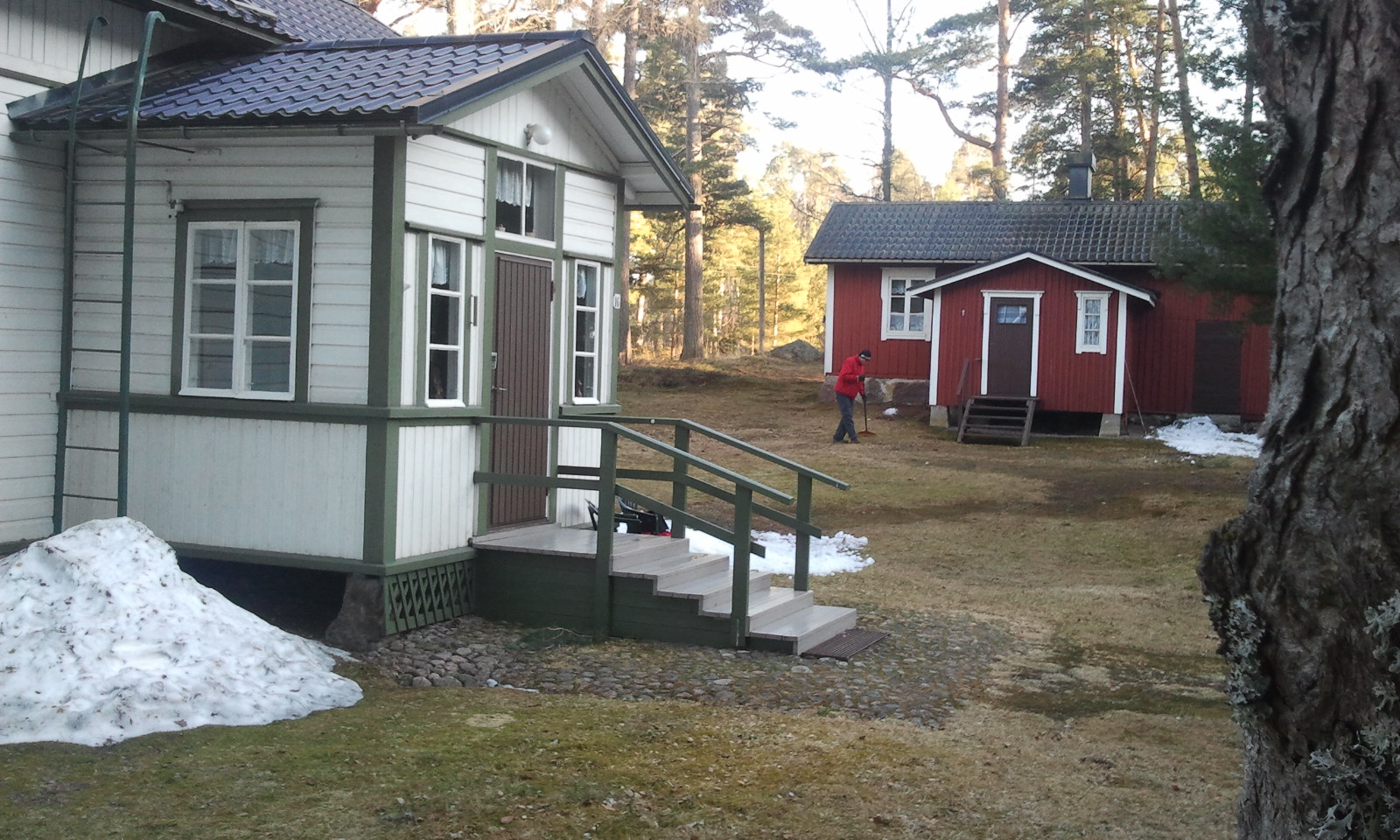 Här ska jag samla kottar på söndag.