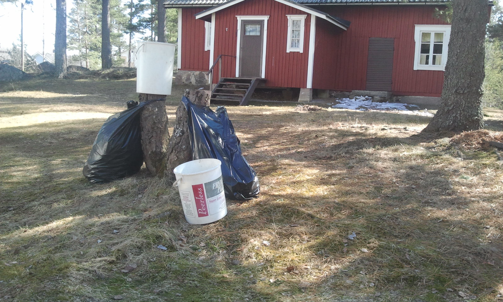 Två och en halv säckar fylldes med kottar.