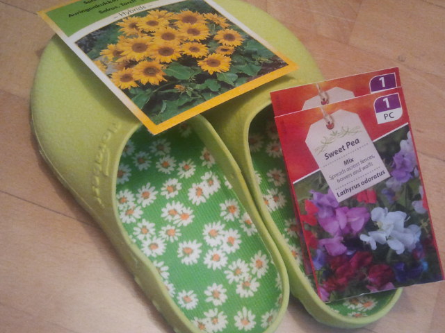 Solrosfrön, luktärtsfrön och trädgårdsdojor.