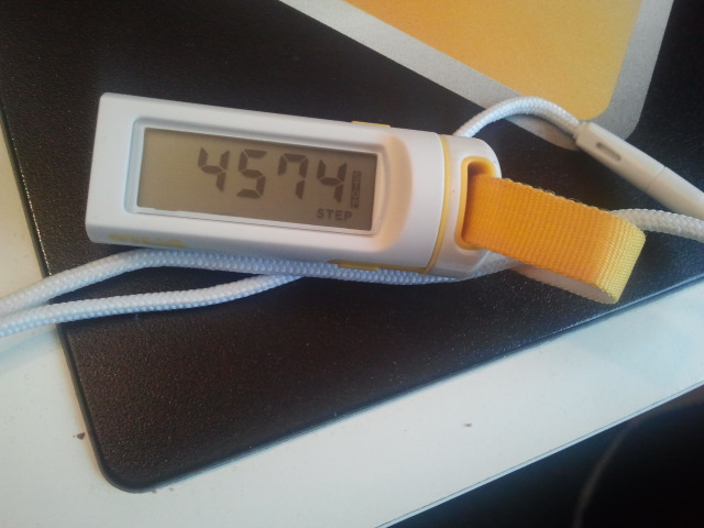 Hittills i dag 4574 steg.