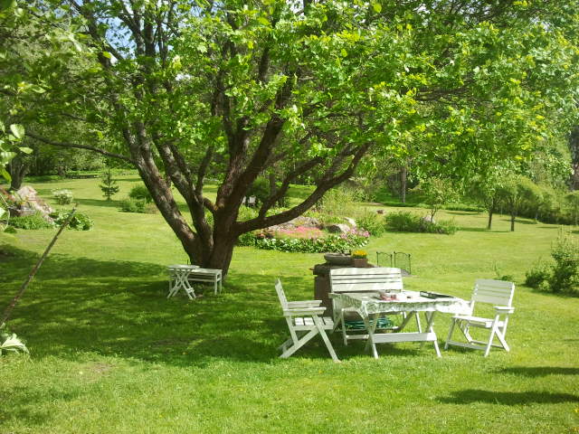 En hektar stor är Elise Engströms och Sakari Tolas tomt. En härlig oas där fåglarna kvittrar, humlorna surrar och fjärilarna fladdrar runt.