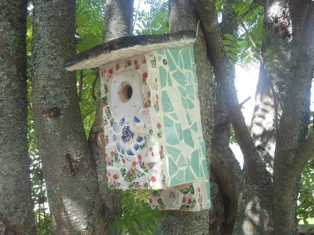 Ett sådant fint hem för fåglarna!