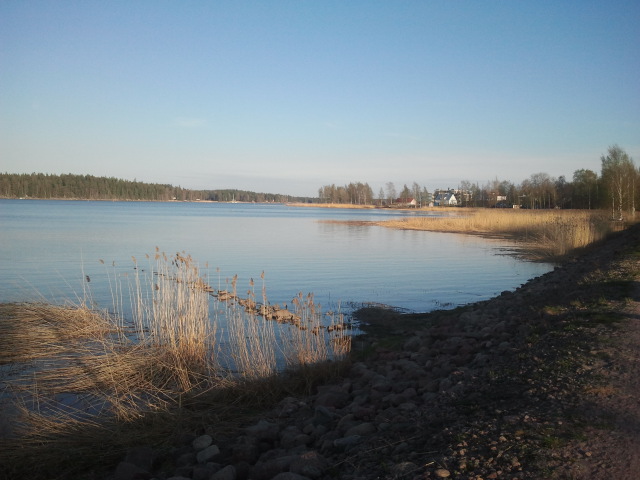 Lovisaviken var så här lugn på lördagskvällen runt halv åtta på kvällen.