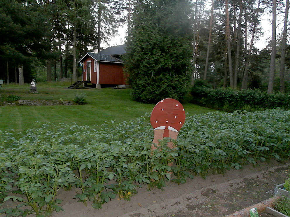 ... står gumman i potatislandet. I ur och i skur, natt och dag. Hon rensar och hon plockar så det står härliga till!