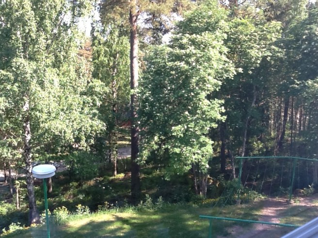 Vy från köket ner mot sommarstället.