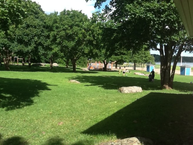 Sol över badstrandens gräsmatta.