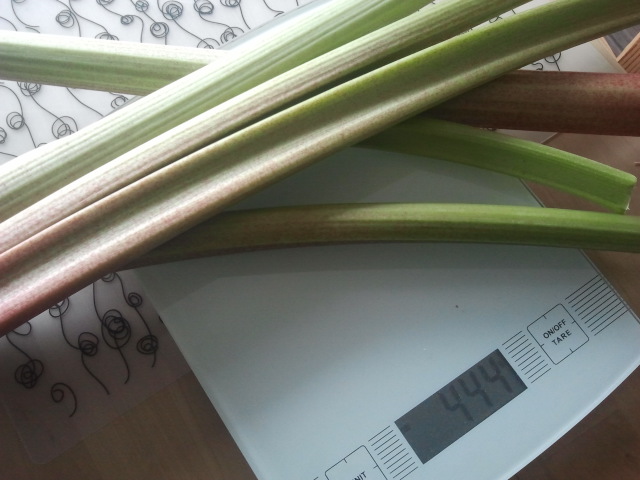 Tänkte att då solen inte gassar kan jag lika väl baka en kaka. Plockade rabarber på sommarstället. Skulle ha cirka 500 gram och vägde dem i handen. Ganska nära kom jag ju!