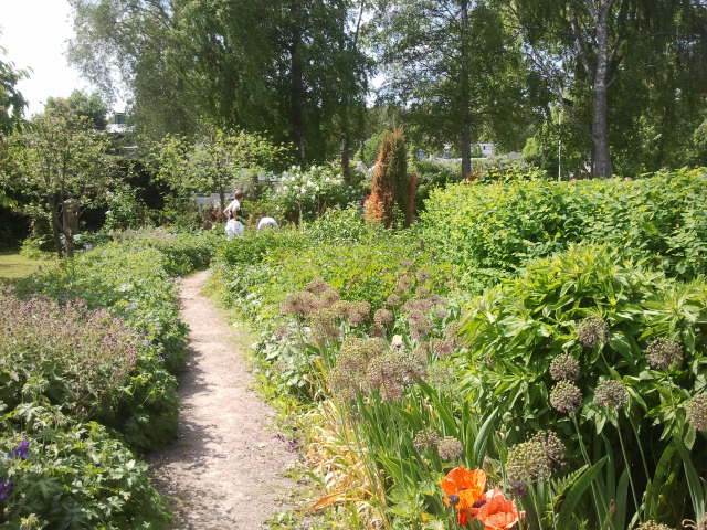 En del av Aaltonens trädgård.