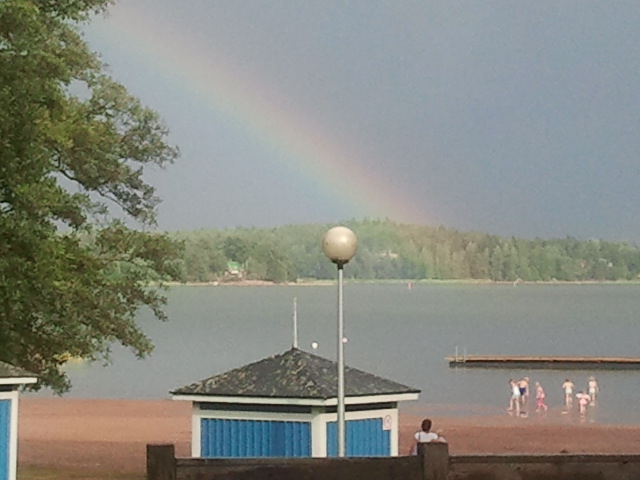 Det är alltså DÄR skatten ligger. Den lurar i vassen i Lovisaviken.