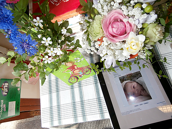 Blommor som maken fick igår då han fick sitt första barnbarn. Det lilla flickebarnet syns på bilden, uppskattningsvis inte mer än en timme gammal.