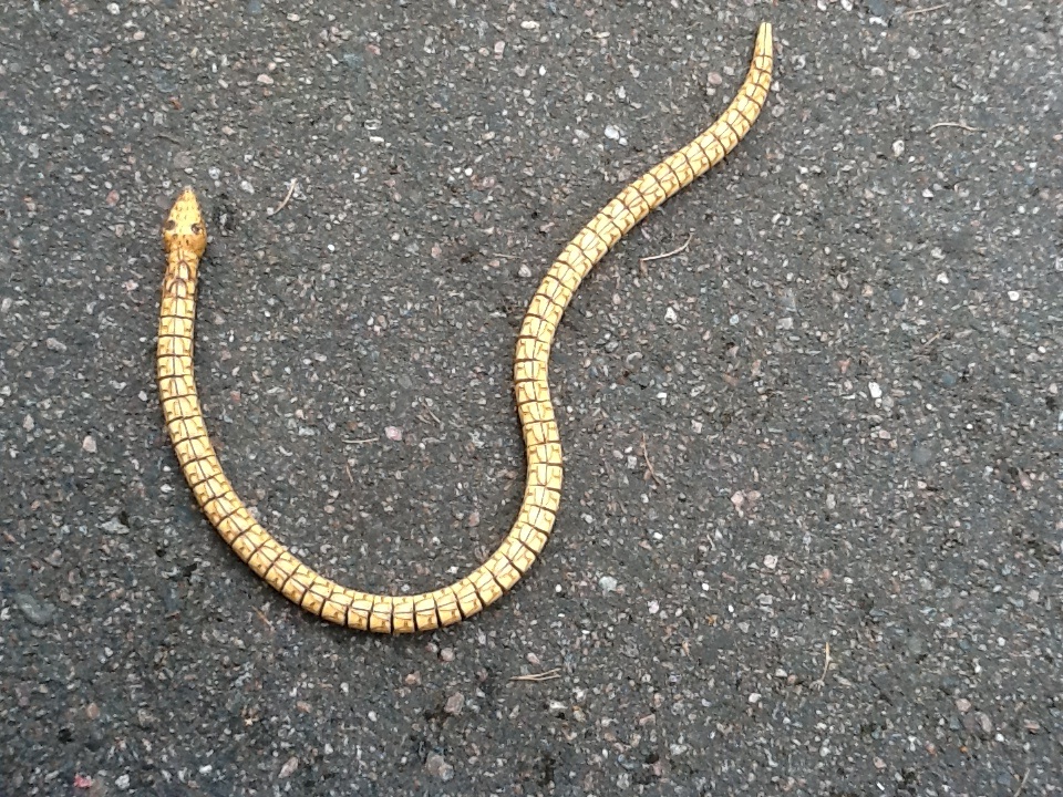 Jo, jag vet. Många är rädda för ormar, och då hjälper det inte att säga att den här inte är riktigt. Den är gjord av trä, men lederna är rörliga, så den ser rätt verklig ut.