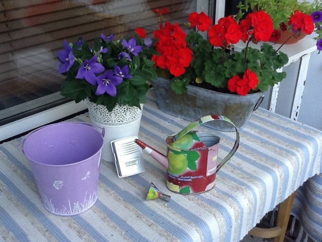 Var i går på Robinhood. Skulle bara ha en baddräkt. Slutade med att jag också köpte solbrillor på rea och kläder. Och så den här söta hinken som jag ska ha blommor i.