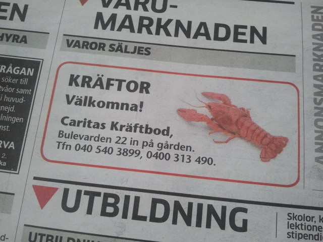 Annons i Hufvudstadsbladet söndag 21 juli.