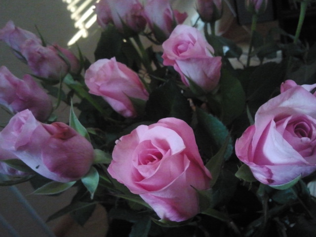 I dag skriver jag bara det här inlägget. Efter jobbet ska jag nämligen ner till kiosken. Senare i kväll skålar vi i champagne, för i dag har Guuben och jag varit gifta i 15 år. Känt varandra har vi gjort på dagen sexton år. Tänk så tiden går :-)