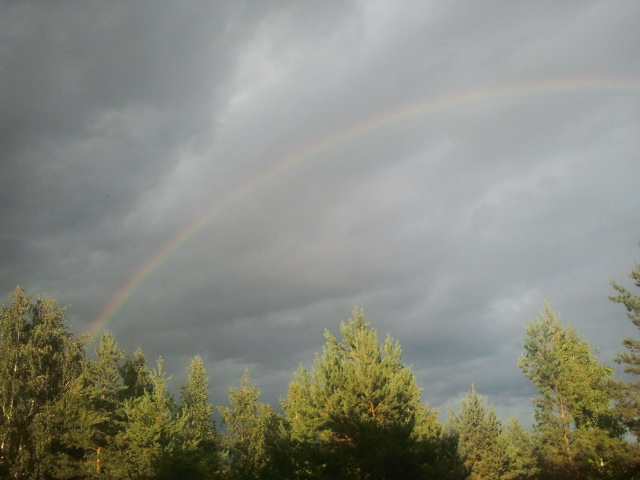 Det har varit sol och regn om vartannat och lite åska då och då de senaste dagarna. Fina regnbågar har vädret också bjudit på.