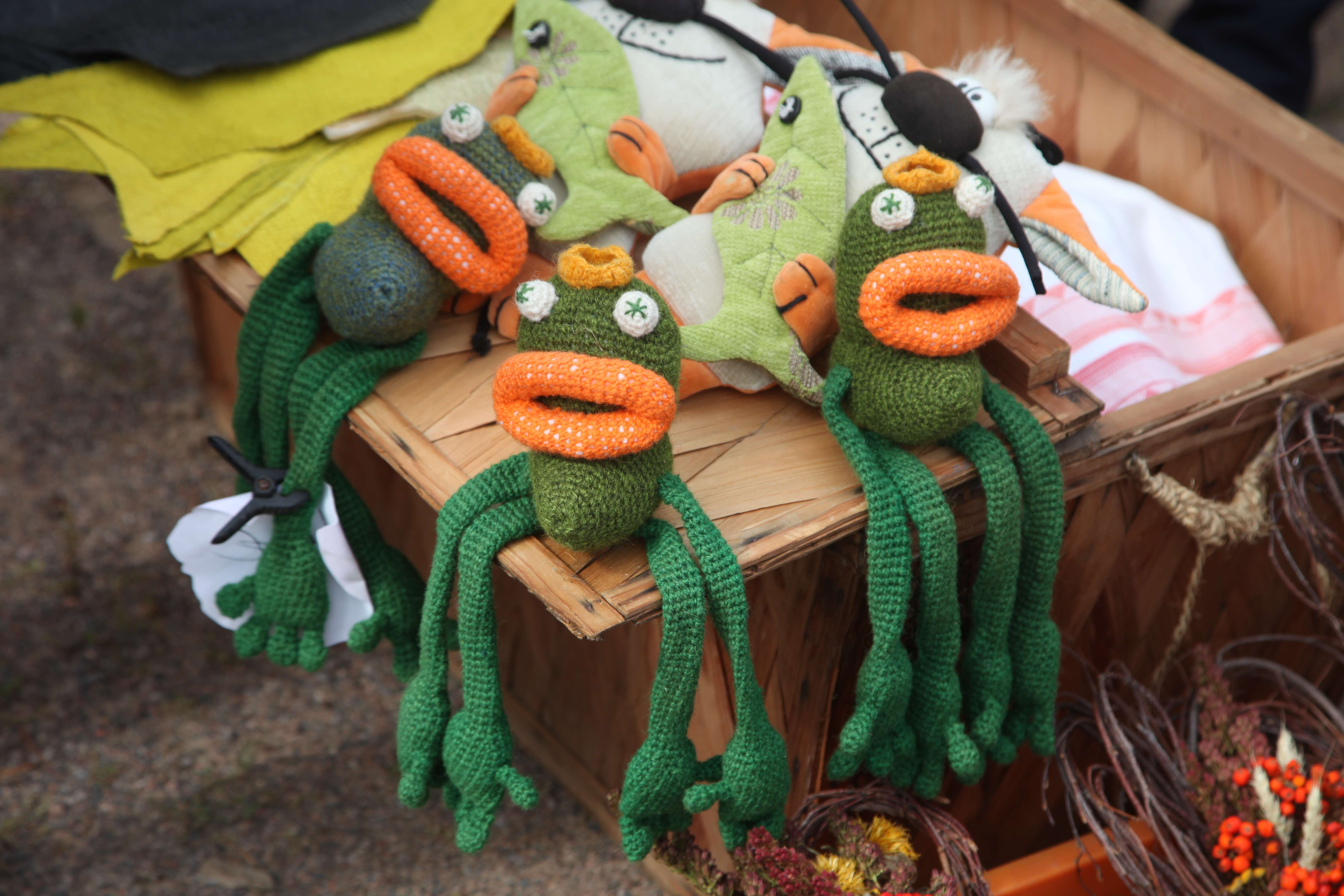 De här grodorna fanns till salu på höstmarknaden i Pernå kyrkoby.