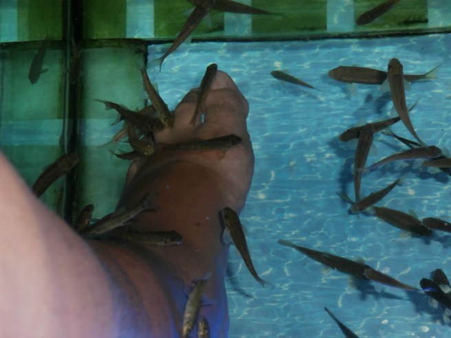 Fiskarna tyckte mina fötter var goda.