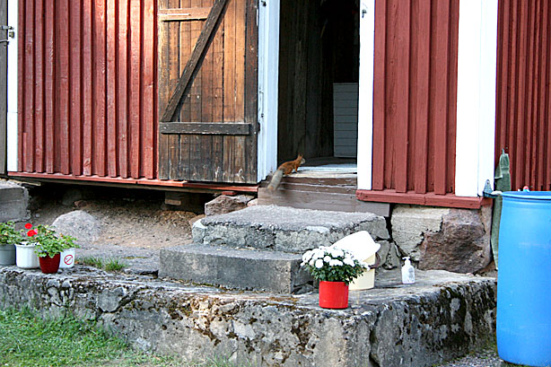 Hörde att man hade bar här då Carita fyllde 50 år. Oh, that must have been ages ago, said Börje. All dricka är slut :-(