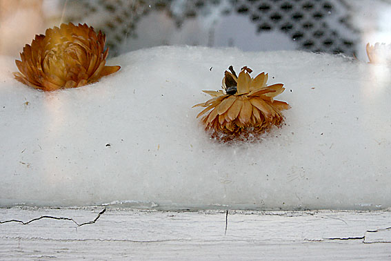 Från svunna somrar vilar vi här, på en bädd som likt ett snötäcke är.