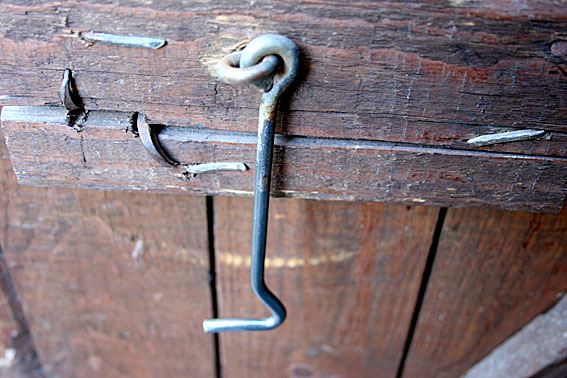 Ni har väl aldrig sett på maken, jag är snyggaste Hängiga Haken.