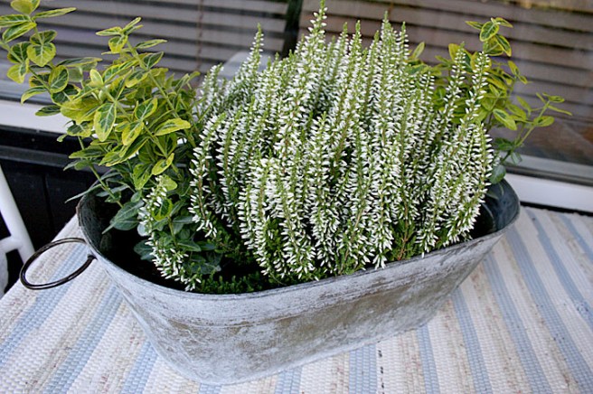 Nu hösten välkommen är, till våren stannar vi här.