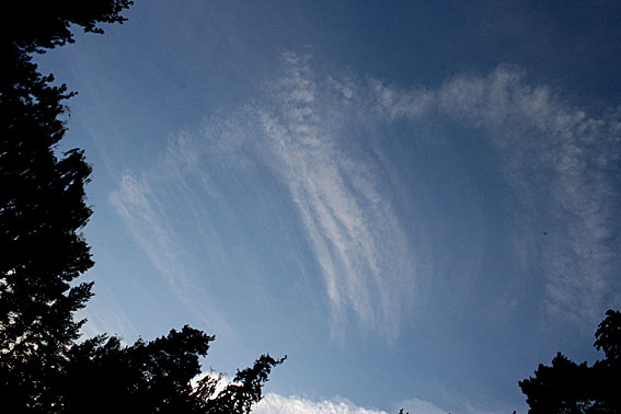 Moln eggar min fantasi. Jag kunde egentligen starta en MOLN-blogg. Vad ser du här? En örn, en ängel - eller något annat?