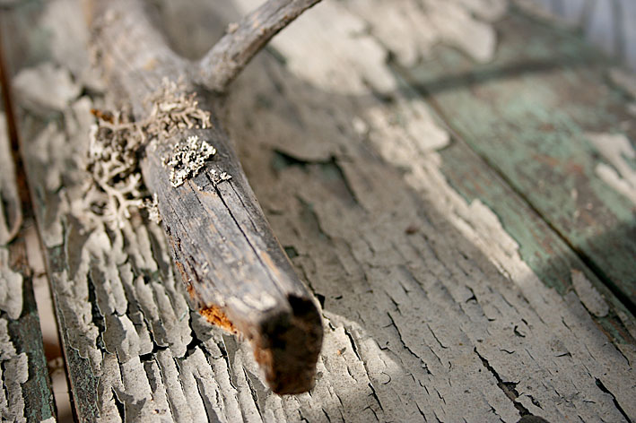 Fascineras av detaljer. Den torra grenen som ligger på den slitna bordsytan är ju bara så oerhört vacker.