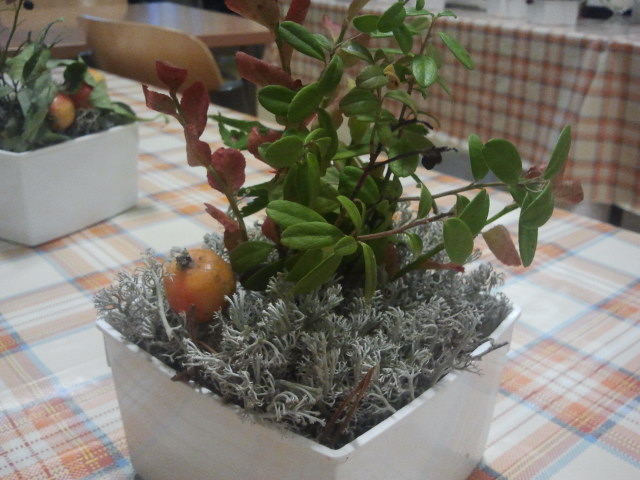 Fin prydnad på bordet i Kapellby skola där Lappträsk fullmäktige höll sitt möte.