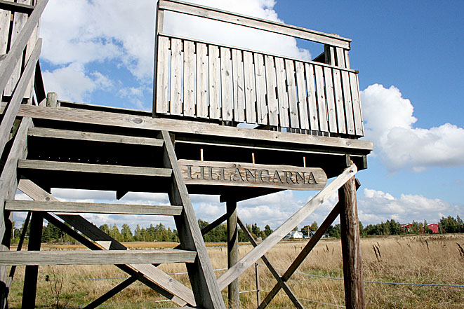 Invid Gamla Valkomvägen ligger Lillängarnas fågeltorn. Det har vi ofta gått eller åkt förbi. Dags att kliva upp i det nu då.