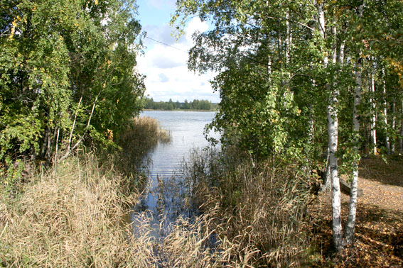 Marbäcken rinner ut i Lovisavikekn.