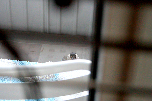 Aj-aj jag har lite ont i huvet.