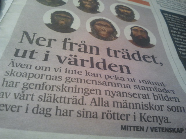 I tisdags publicerade Hufvustadsbladet en intressant artikel.