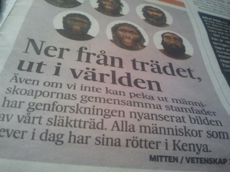 I tisdags publicerade Hufvustadsbladet en intressant artikel.