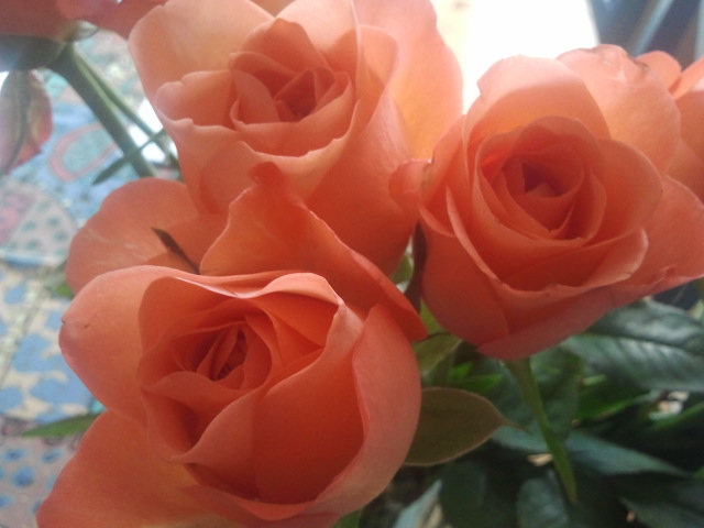 Gårdagens gäster hämtade ett fång rosor med sig. Också en välkommen färgklick nu då vi snart övergår till november månad.