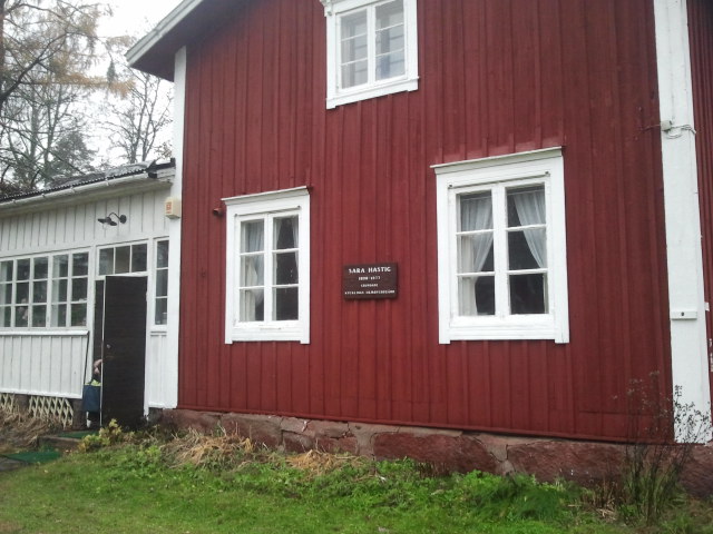 Kycklings i Lappträsk, en idyll mitt i kyrkobyn. Se så grönt gräset var fastän vi skriver femte november. Kanske inte så konstigt, så som det regnat.