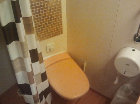 Vacuumproblem. Bäst att hålla toalocket stängt.