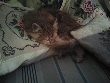 Mysig väntan på jul!