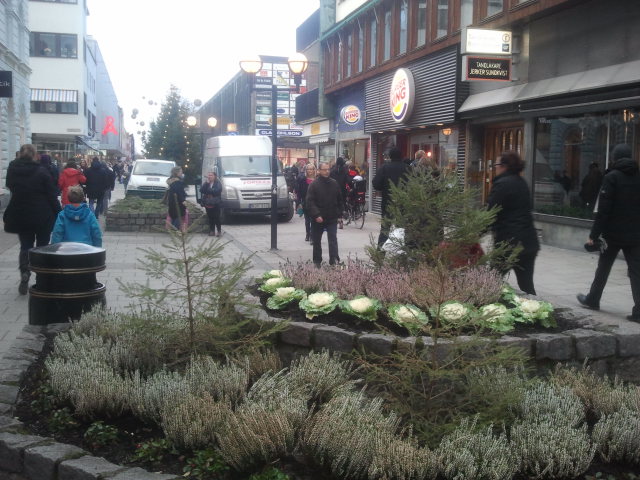 Siktet har satts på Clas Olsson. Där ska vi köpa en minnespinne. Så att vi inte tappar alla minnen vi får när vi är här. Slank med lite annat från köpcentret också, ett läppcerat från Body Shop och tidningen Skriva.