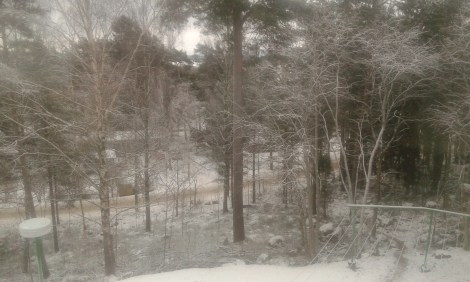 I dag har vi mildare väder. Från minus femton i morse steg temperaturen till minus fyra. Känns väl inte som sommar, men nästan :-)